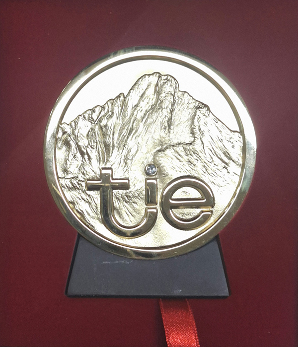 TIE Gold Prize Image 6